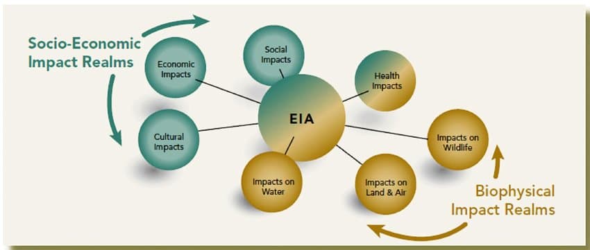 Environmental Impact Assessment